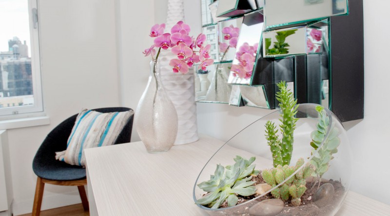 Pravila Oformleniya Etiketok Komnatnih Rastenij Pravila Oformleniya Etiketok Komnatnih Rastenij