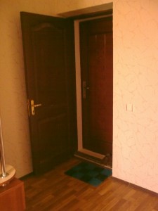 Вторая входная дверь в квартиру или дом: особенности применения металлических и деревянных дверей в фото