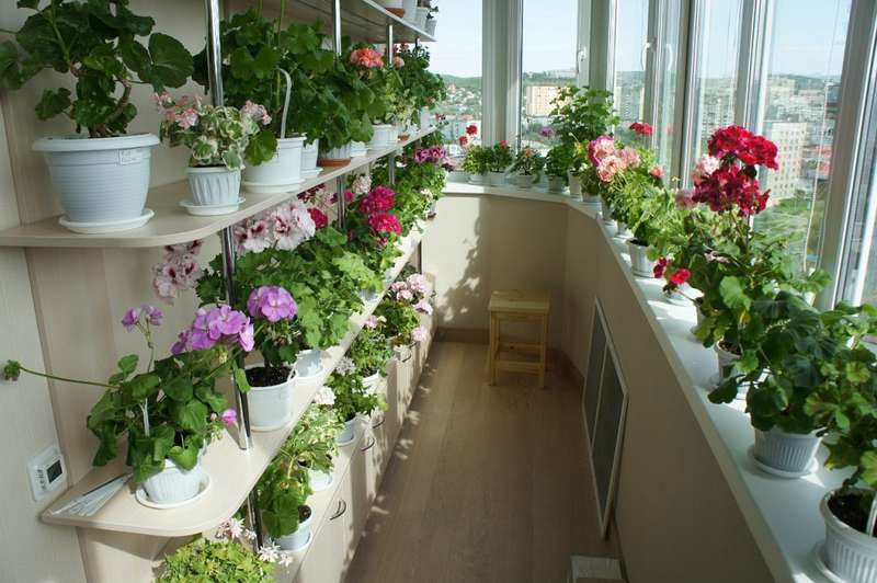 Идеи интерьера кухни с выходом на балкон в фото