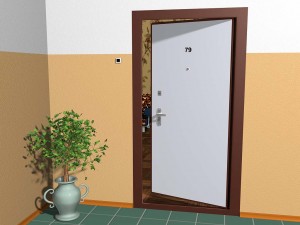 Стальные двери в квартиру — зеркальные и с внутренним открыванием в фото