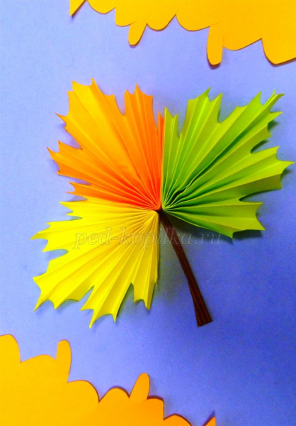 Аппликация на тему осень из цветной бумаги в детском саду с фото и видео в фото
