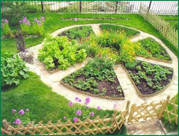 Декоративный огород: делаем красивые грядки — 60 фото в фото