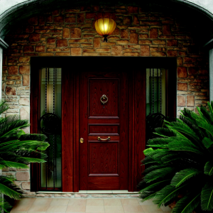 Входные металлические утепленные уличные двери — мечта каждого домовладельца в фото