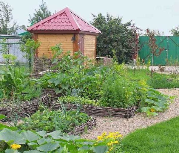 Декоративный огород: делаем красивые грядки — 60 фото в фото