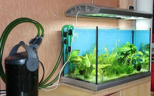 Как сделать свет в аквариуме в фото