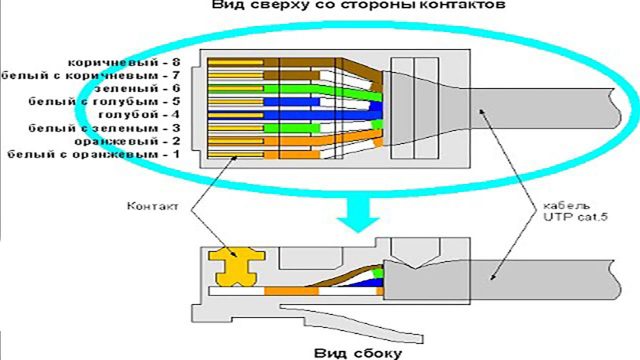 Инструкция по обжиму коннектора RJ-45 и подключению интернет розетки в фото
