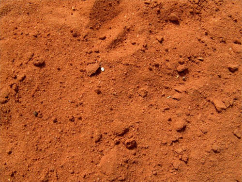 Песчаная почва на Вашем участке в фото