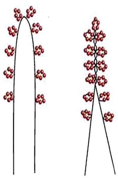 Деревья из бисера: схемы с фото плетения сакуры и березы в фото