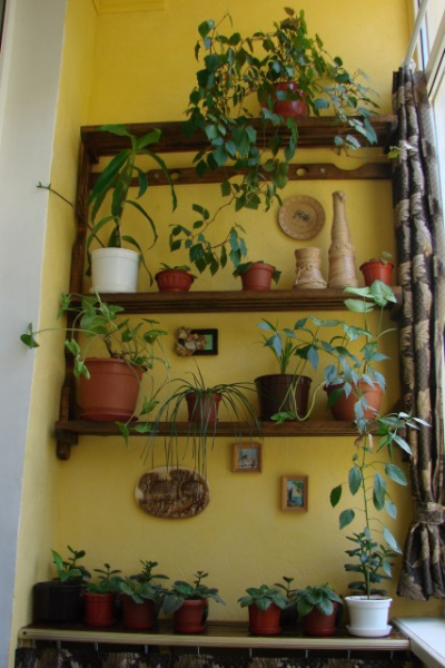 Самоделки для балкона. Ящик-диванчик для хранения овощей и полка для цветов своими руками (фото, идеи) в фото