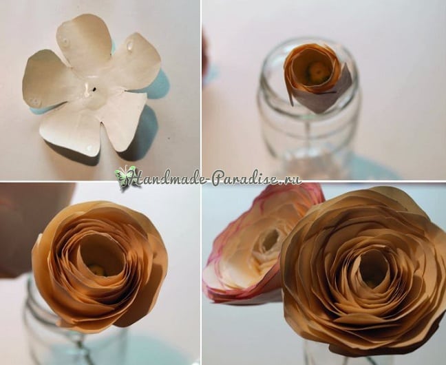 Ранункулюс — садовый лютик из бумаги в фото