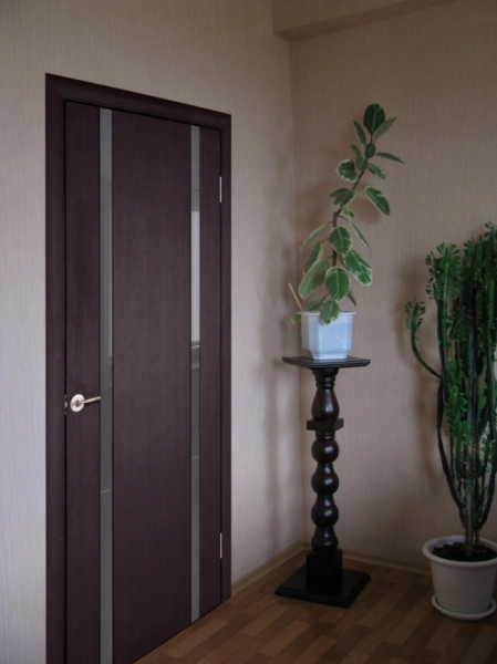 Цвет дверей Орегано: фото сочетаний в интерьере в фото