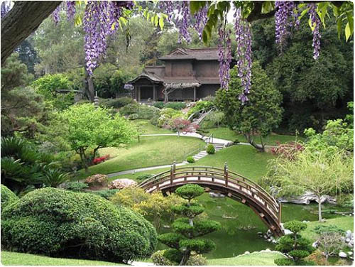 Сад в японском стиле в фото