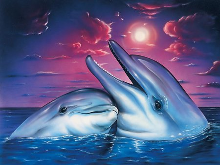 Схема вышивки крестом: «дельфины» скачать бесплатно в фото