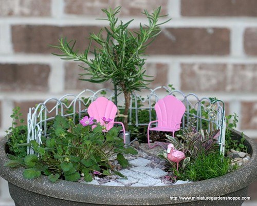 Как сделать миниатюрный сад — живой декоративный элемент интерьера в фото