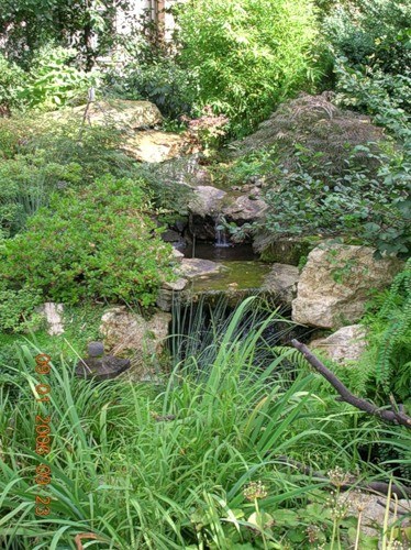 Ботанический сад в Эрлангене в фото