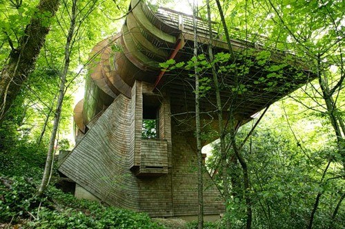 Дом в лесу — экологический рай для любителей природы в фото