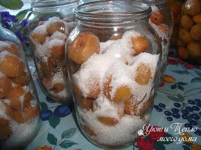 Компот из абрикосов на зиму с косточками: простой рецепт без стерилизации в фото