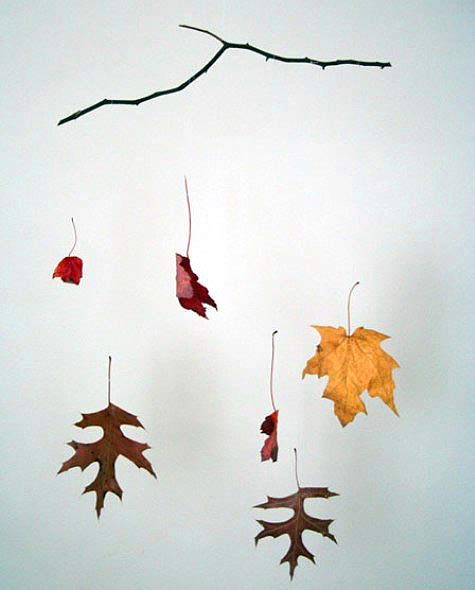 Запах осенних листьев у Вас дома! в фото