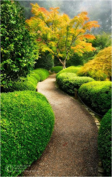 Японский сад — идеи и некоторые рекомендации по его организации на даче в фото