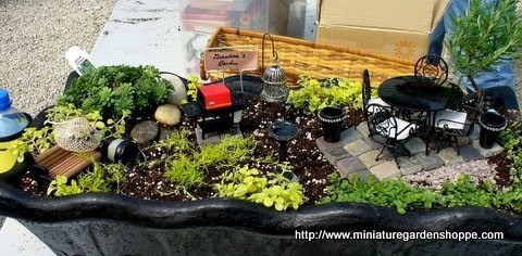 Как сделать миниатюрный сад — живой декоративный элемент интерьера в фото