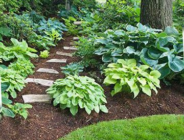 8 секретов успеха вашего сада — планируем ландшафтный дизайн сада без ошибок в фото