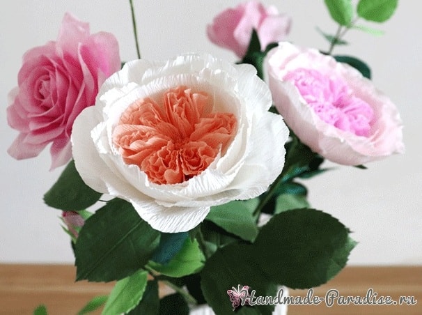 Английские розы Дэвида Остина из бумаги в фото