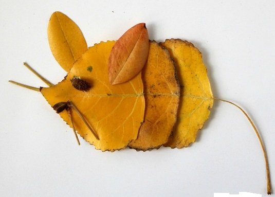 Мышка из листьев в фото