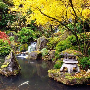 Японский сад — идеи и некоторые рекомендации по его организации на даче в фото