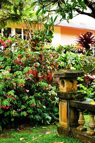 Классический интерьер дома на Гаваях в фото