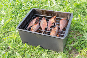 Коптильня горячего копчения для приготовления рыбы в фото