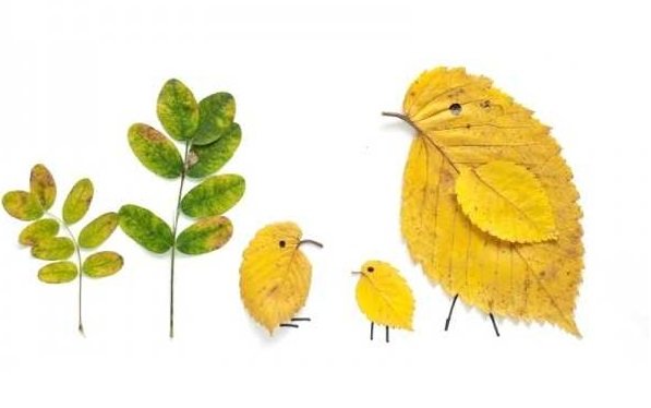 Аппликации из осенних листьев для детского сада в фото