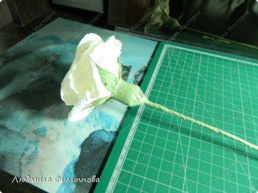 Как сделать розу из бумаги своими руками легко и поэтапно: схема с видео в фото