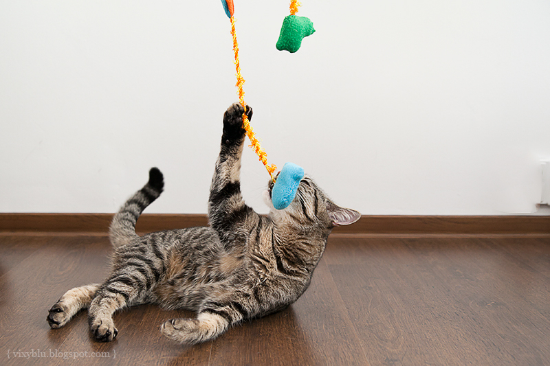 Игрушки для кошек своими руками из картона: как сделать с фото и видео в фото
