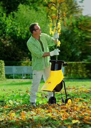 Как правильно выбрать садовый измельчитель для травы и веток в фото