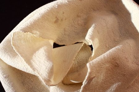 Валяние из шерсти и шелка: гармоничный шарфик своими руками в фото