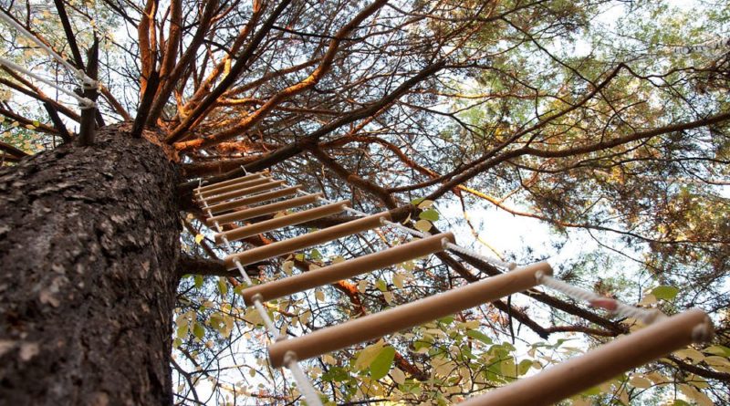 Как сделать веревочную лестницу: способы изготовления своими руками [+40 примеров на фото]