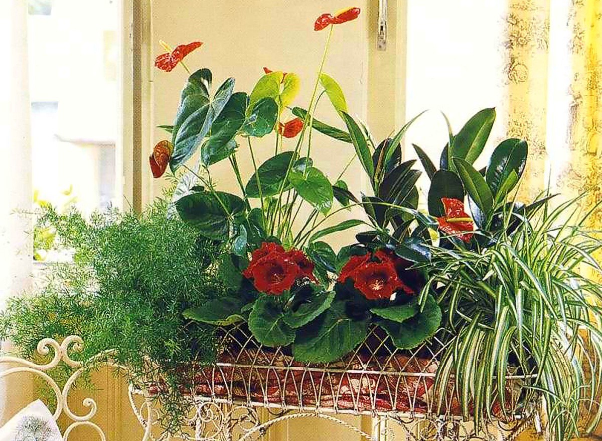 Цветущий интерьер: украшаем квартиру цветами