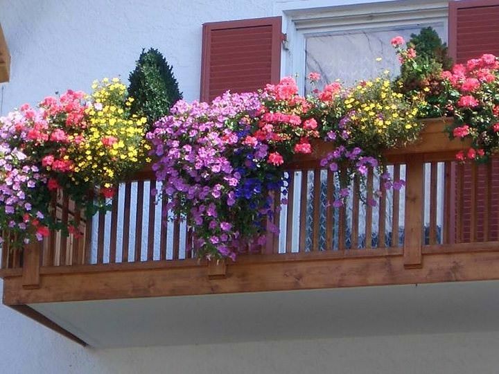 			Цветы в ящиках на балконе: английский сад в родной квартире		