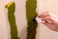Как сделать своими руками трафареты для покраски стен?