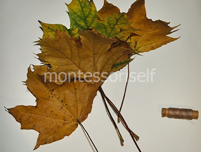 Аппликация на тему "Золотая осень" из цветной бумаги и из листьев для садика