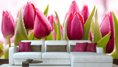 Фотообои с тюльпанами