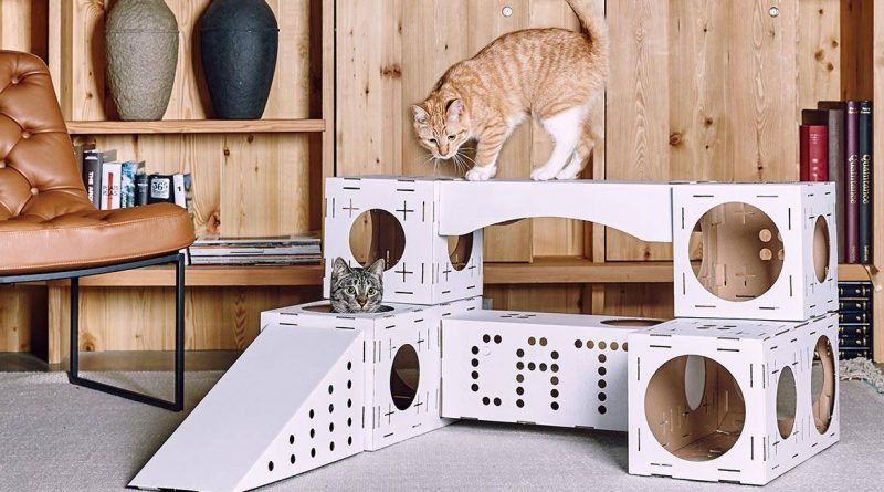 Как выбрать стильный кошачий домик для любимой кисы?
