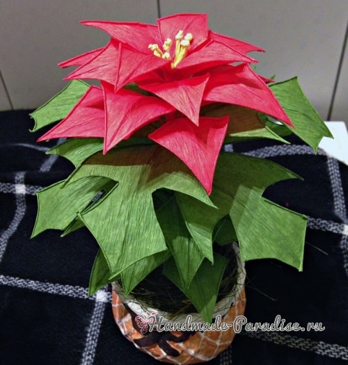 Рождественская звезда - Пуансеттия из бумаги