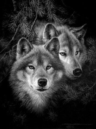 Схема вышивки крестом: "волки и пара волков" скачать бесплатно