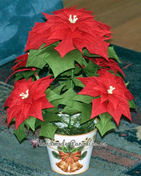 Рождественская звезда - Пуансеттия из бумаги