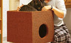 Домик, когтеточка для кошки своими руками (фото, мастер-класс, чертежи)