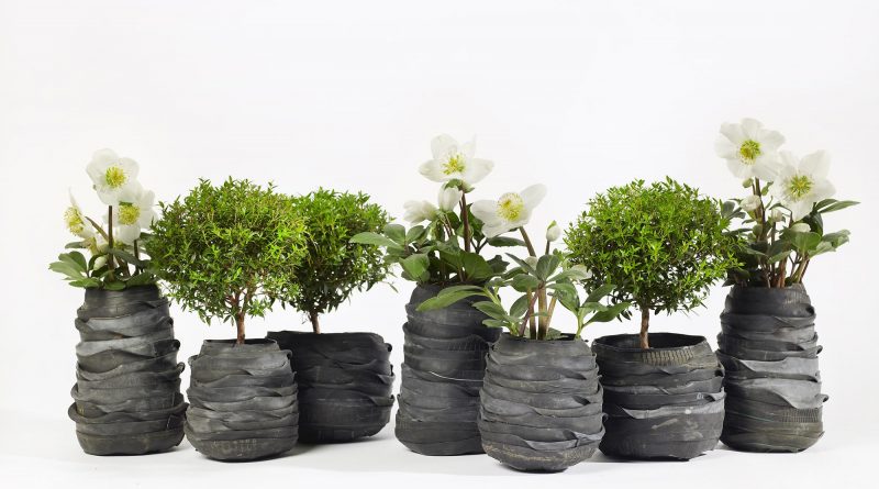 Тренд 2019: как использовать живые растения чтобы было стильно
