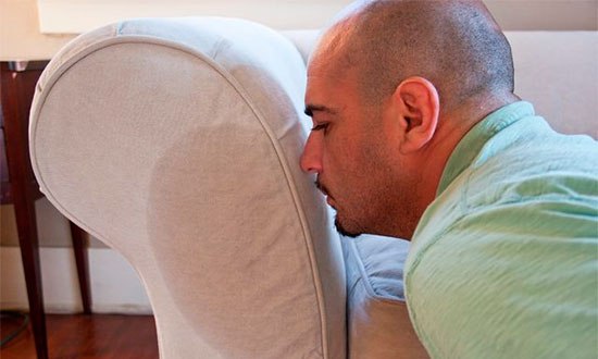									Как избавиться от запаха мочи на диване взрослого человека								