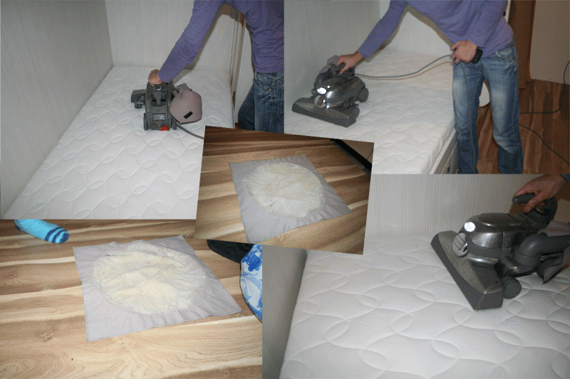 									Пылевые клещи: как избавиться в мягкой мебели народными средствами								