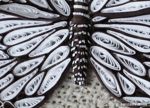 Квиллинг бабочка: мастер-класс для начинающих с фото и видео